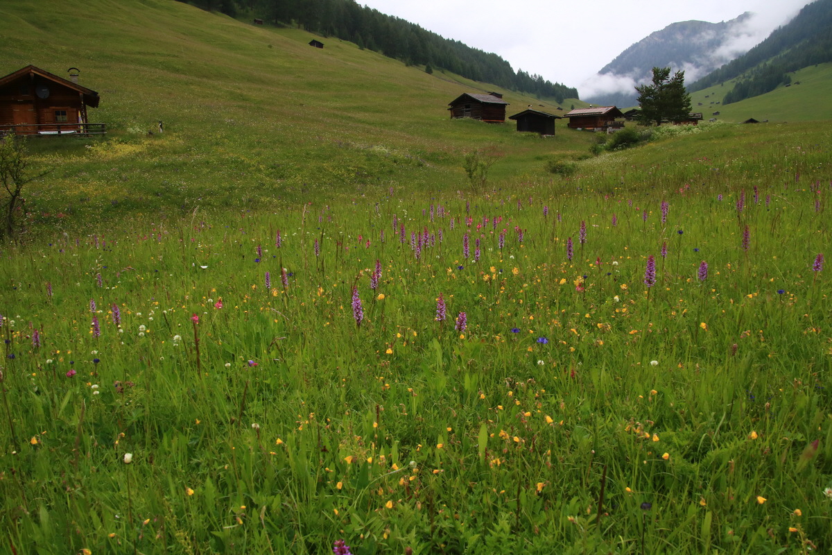 2015_06_21_005332_Bildgr��e �ndern