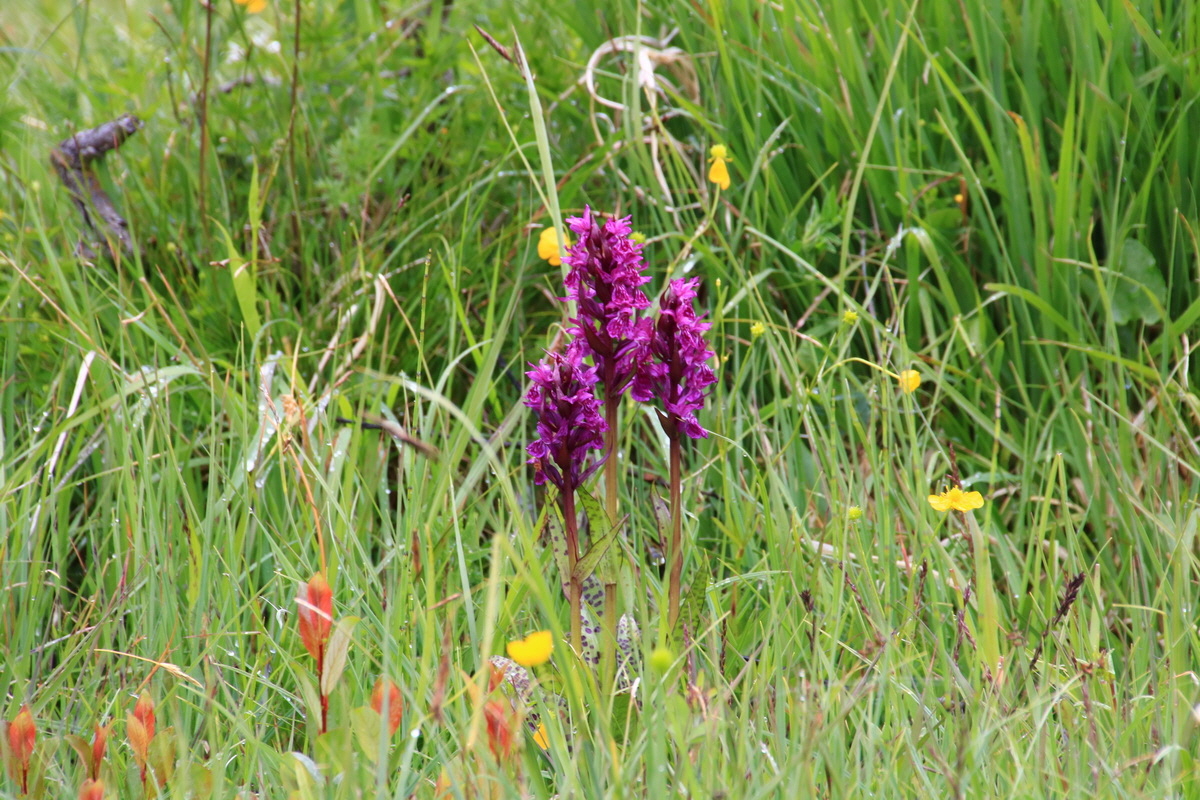 2015_06_21_005341_Bildgr��e �ndern