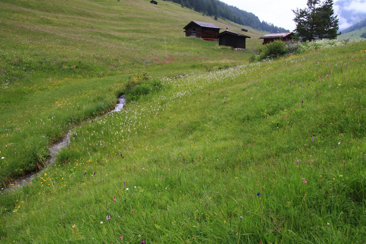 2015_06_21_005348_Bildgr��e �ndern