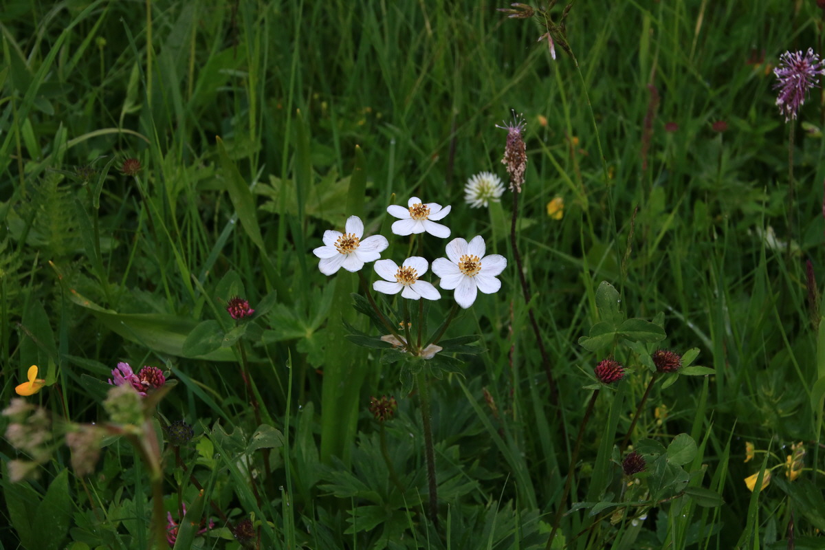 2015_06_21_005350_Bildgr��e �ndern