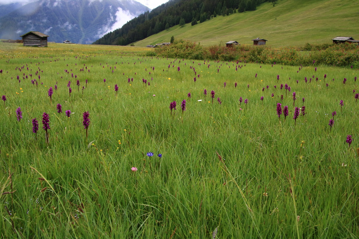 2015_06_21_005431_Bildgr��e �ndern