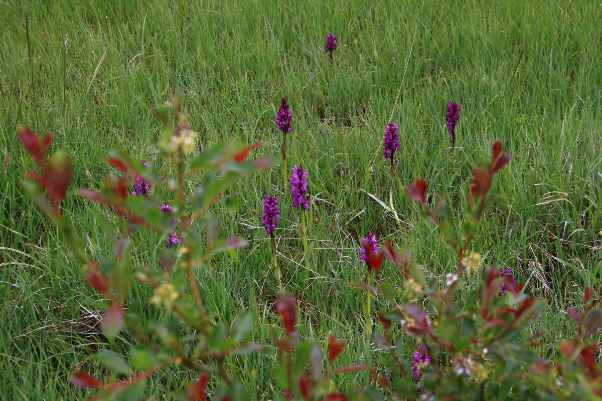 2015_06_21_005436_Bildgr��e �ndern