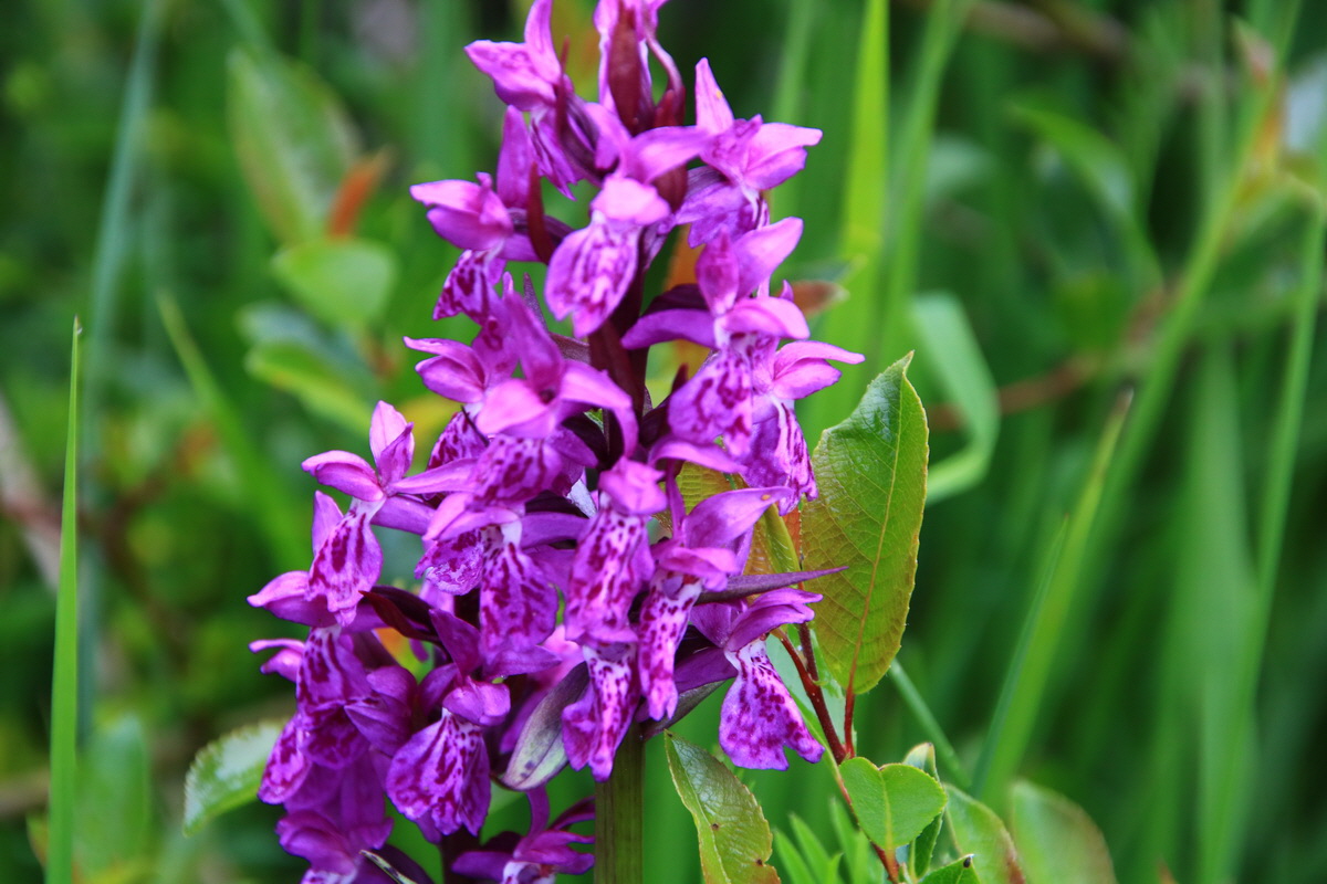 2015_06_21_005441_Bildgr��e �ndern