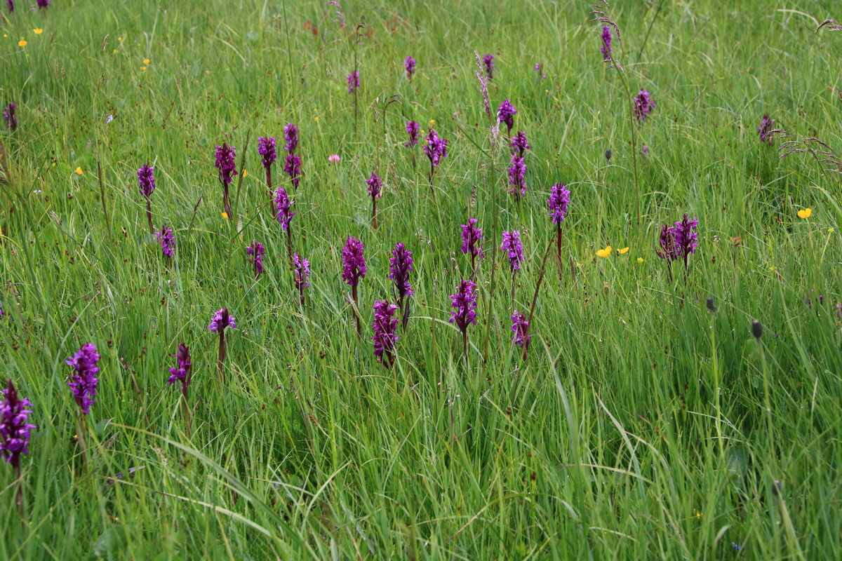 2015_06_21_005445_Bildgr��e �ndern