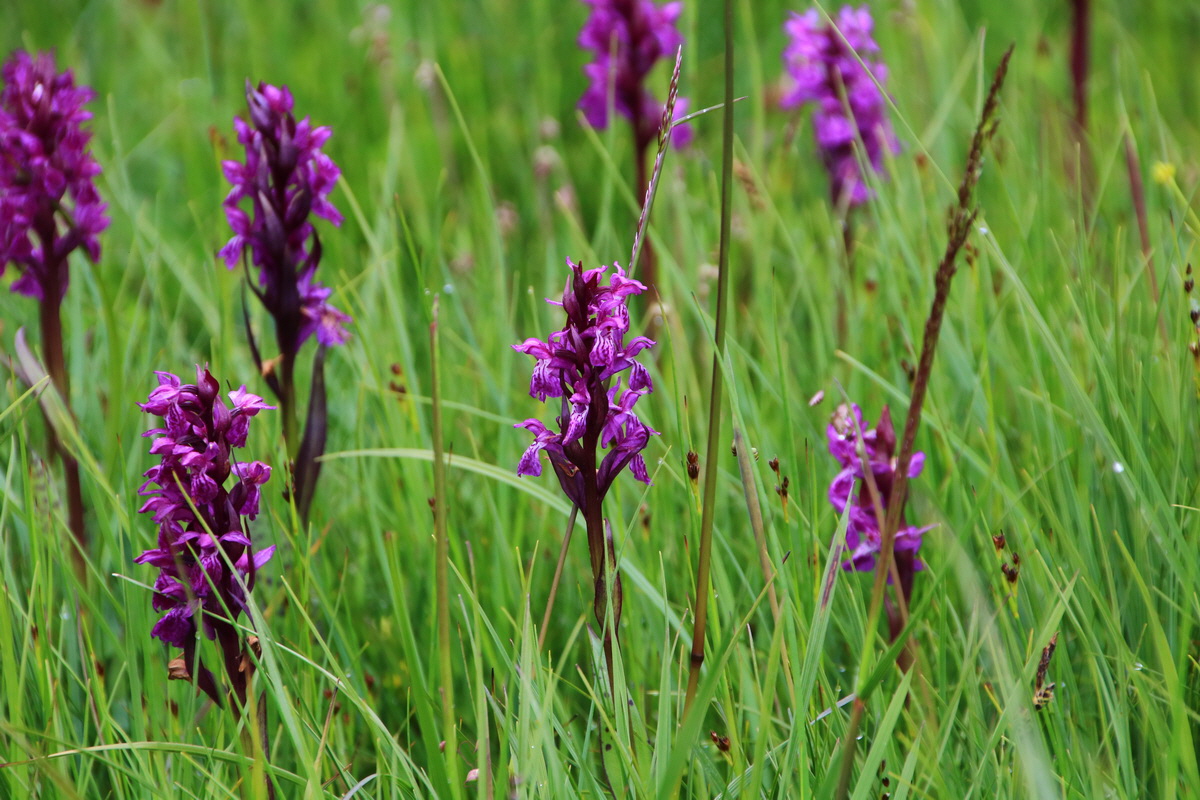 2015_06_21_005447_Bildgr��e �ndern