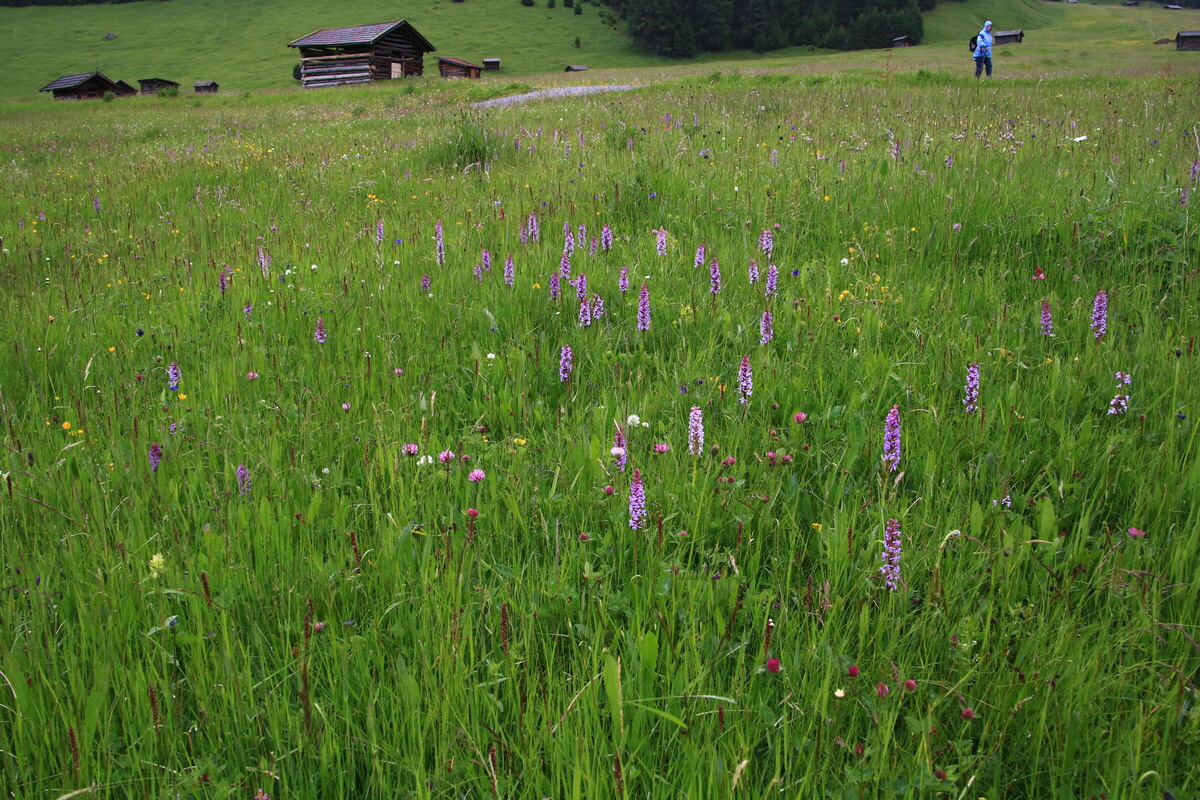 2015_06_21_005460_Bildgr��e �ndern