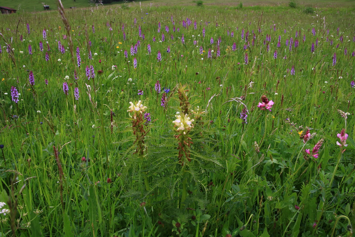 2015_06_21_005472_Bildgr��e �ndern