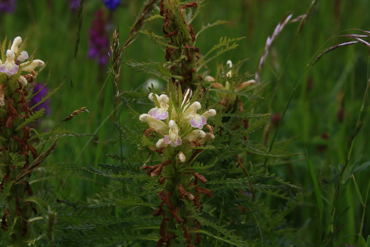 2015_06_21_005473_Bildgr��e �ndern