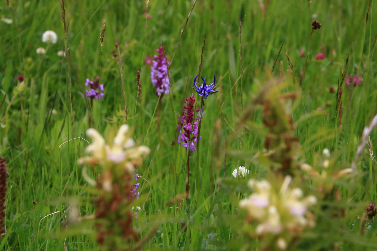 2015_06_21_005478_Bildgr��e �ndern