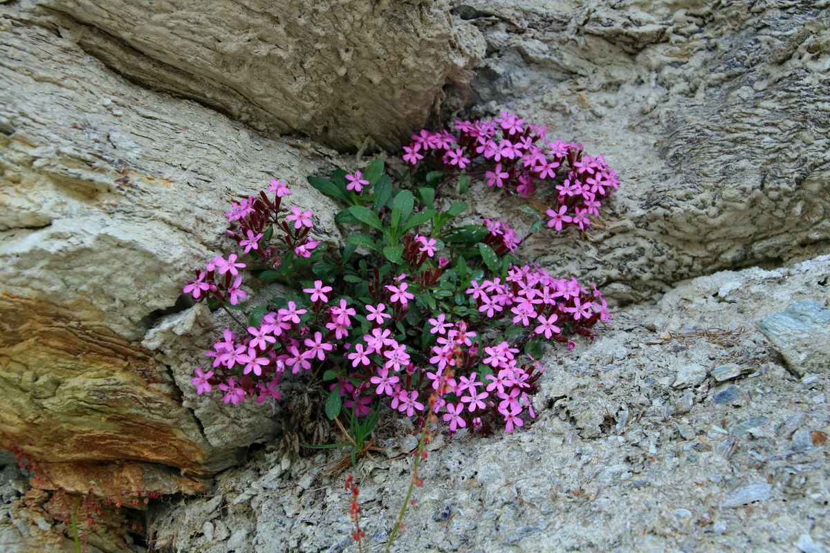 2015_06_22_005558p_Bildgr��e �ndern