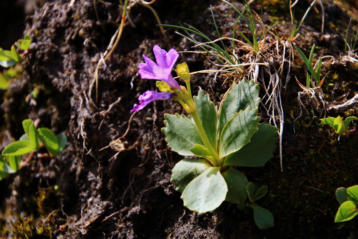 2015_06_22_005561p_Bildgr��e �ndern