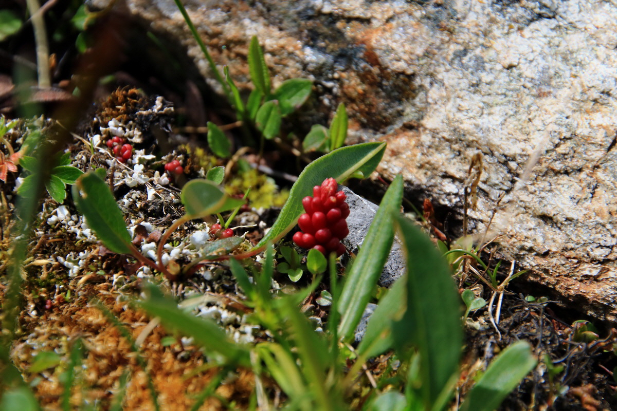 2015_06_22_005567p_Bildgr��e �ndern