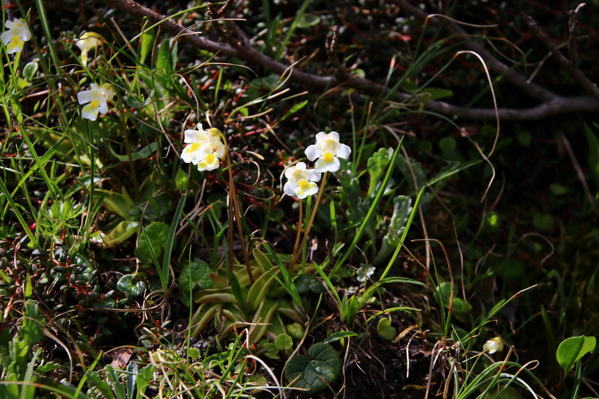 2015_06_22_005568p_Bildgr��e �ndern