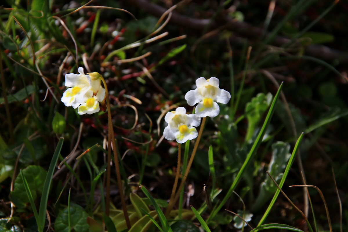 2015_06_22_005571p_Bildgr��e �ndern