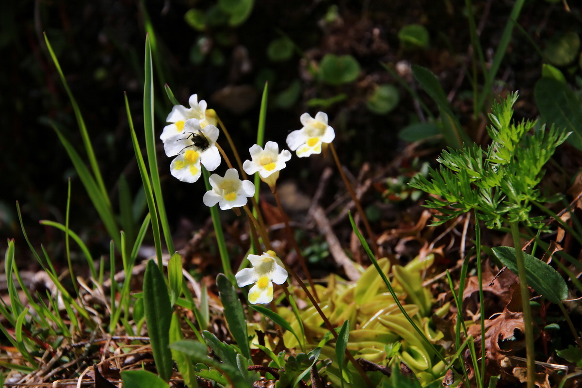 2015_06_22_005574p_Bildgr��e �ndern