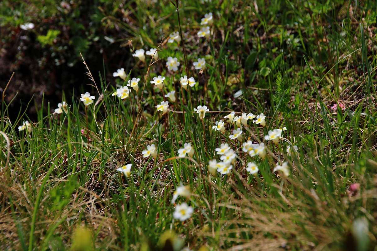 2015_06_22_005580p_Bildgr��e �ndern