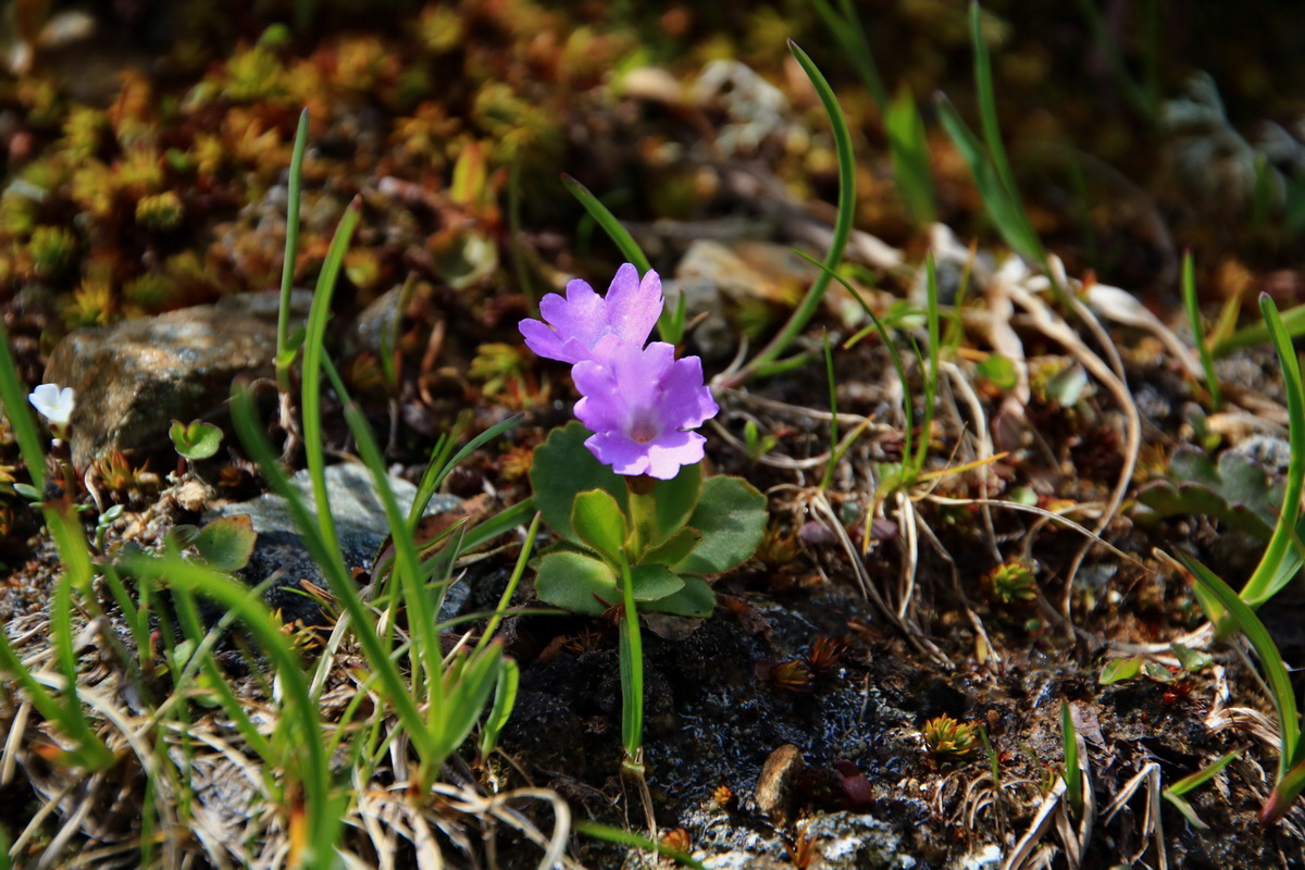 2015_06_22_005582p_Bildgr��e �ndern