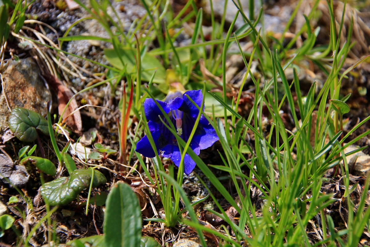 2015_06_22_005585p_Bildgr��e �ndern