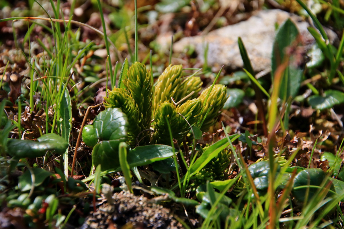 2015_06_22_005587p_Bildgr��e �ndern