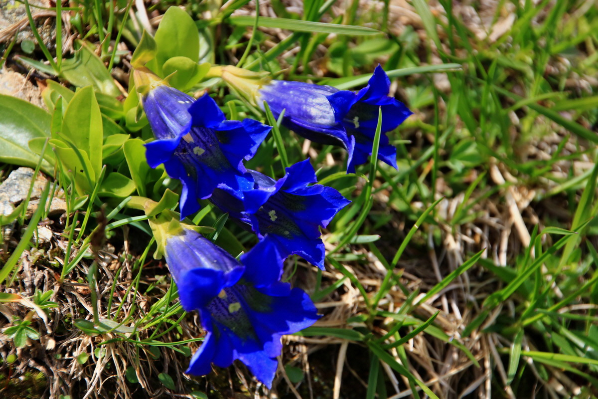 2015_06_22_005591p_Bildgr��e �ndern