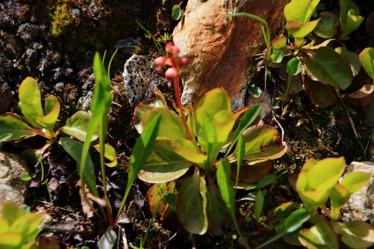 2015_06_22_005594p_Bildgr��e �ndern