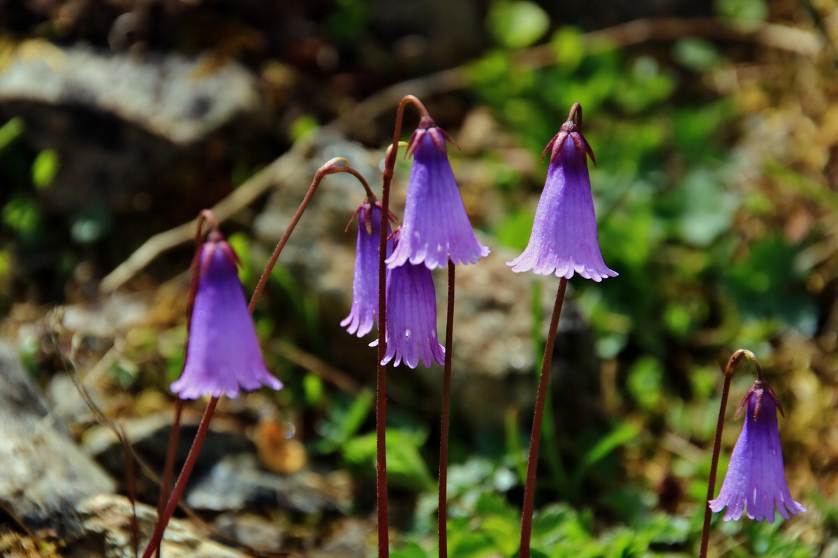 2015_06_22_005596p_Bildgr��e �ndern