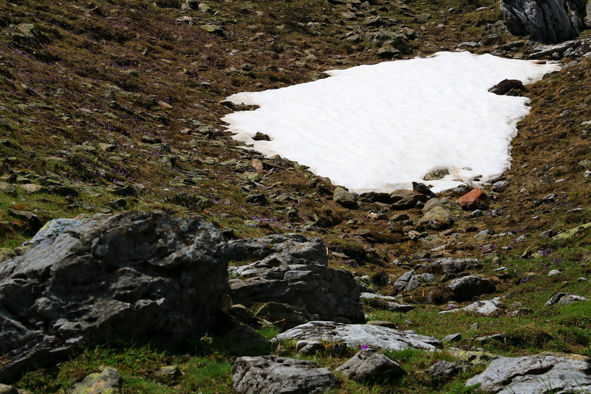 2015_06_22_005600p_Bildgr��e �ndern