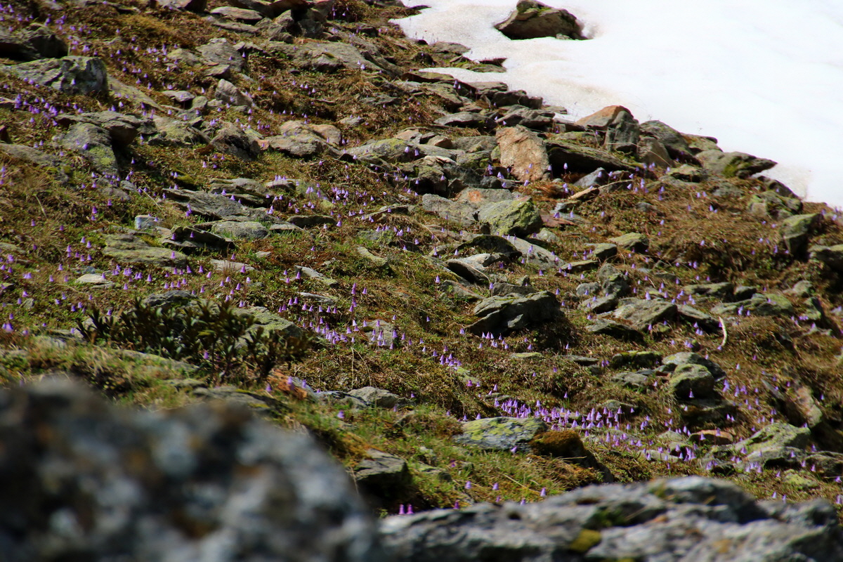 2015_06_22_005602p_Bildgr��e �ndern