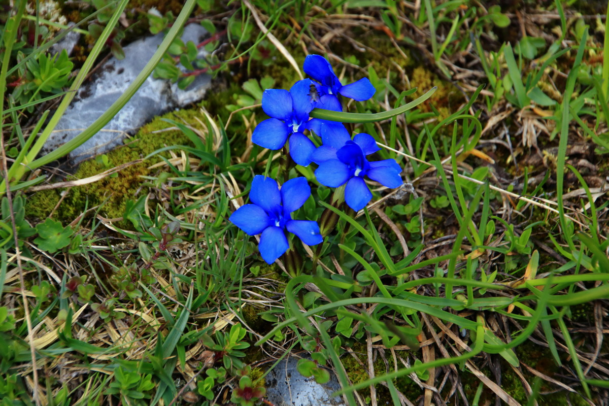 2015_06_22_005609p_Bildgr��e �ndern