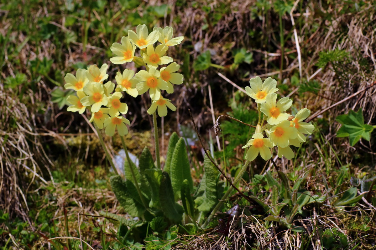 2015_06_22_005665p_Bildgr��e �ndern