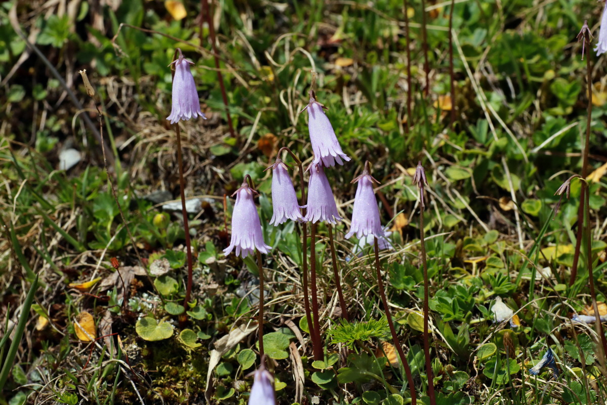 2015_06_22_005669p_Bildgr��e �ndern