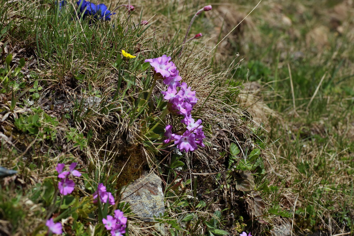 2015_06_22_005672p_Bildgr��e �ndern