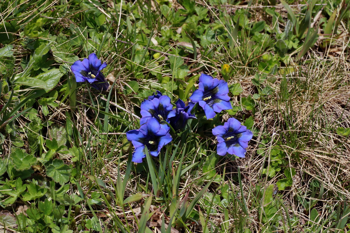 2015_06_22_005675p_Bildgr��e �ndern