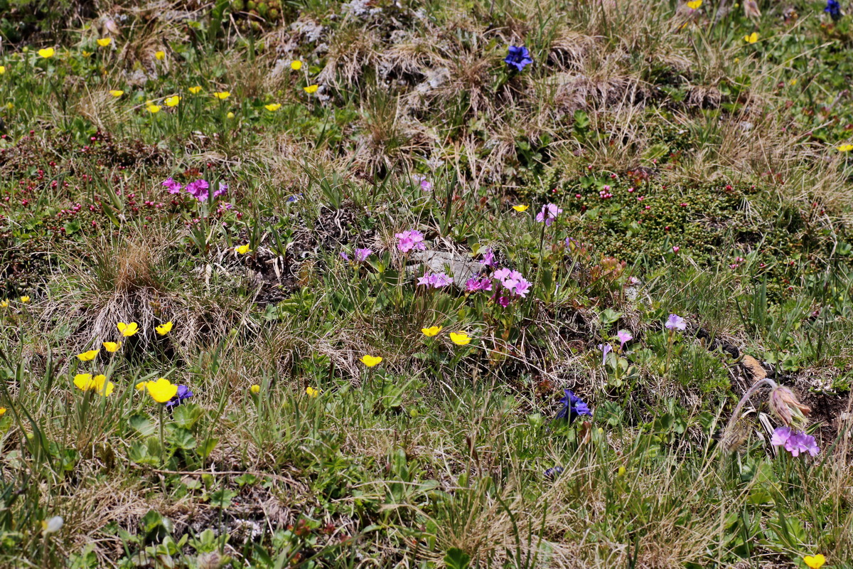 2015_06_22_005678p_Bildgr��e �ndern