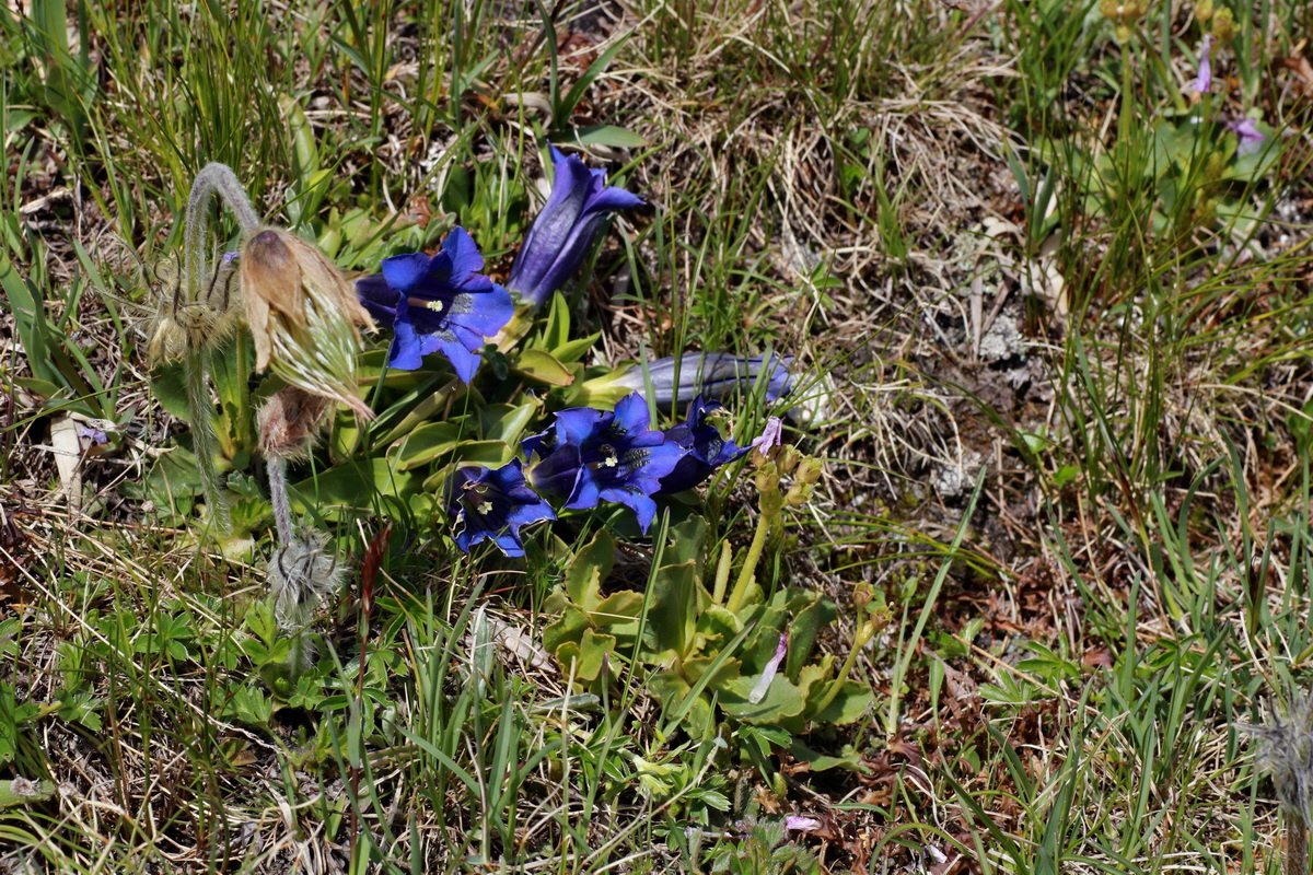 2015_06_22_005689p_Bildgr��e �ndern