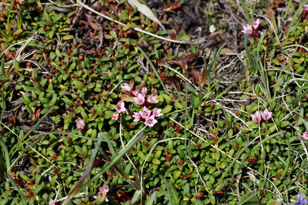 2015_06_22_005691p_Bildgr��e �ndern