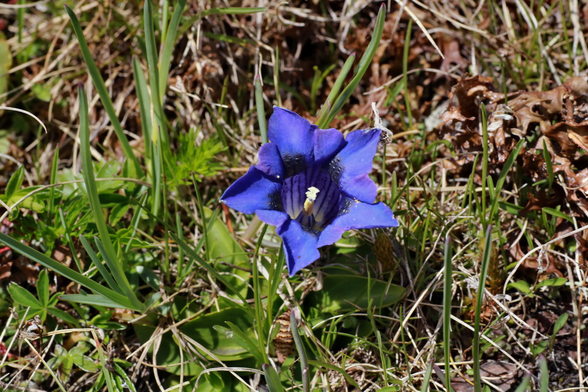 2015_06_22_005694p_Bildgr��e �ndern