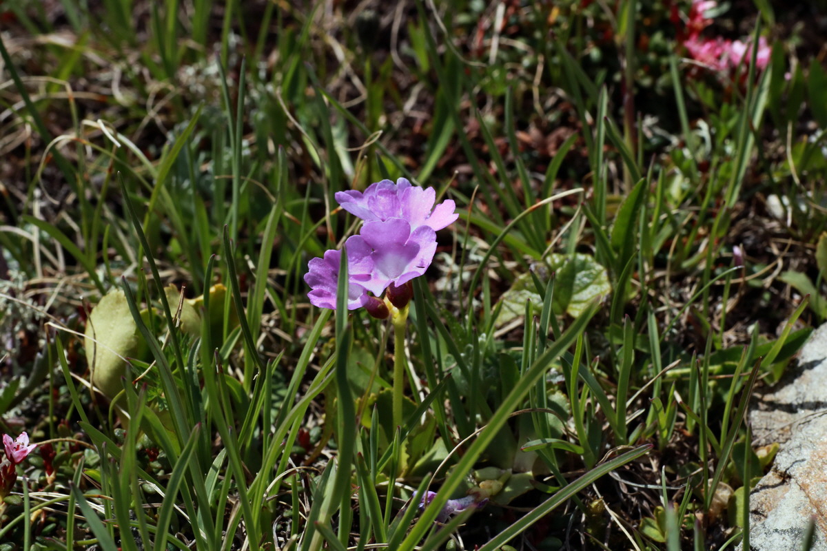 2015_06_22_005696p_Bildgr��e �ndern