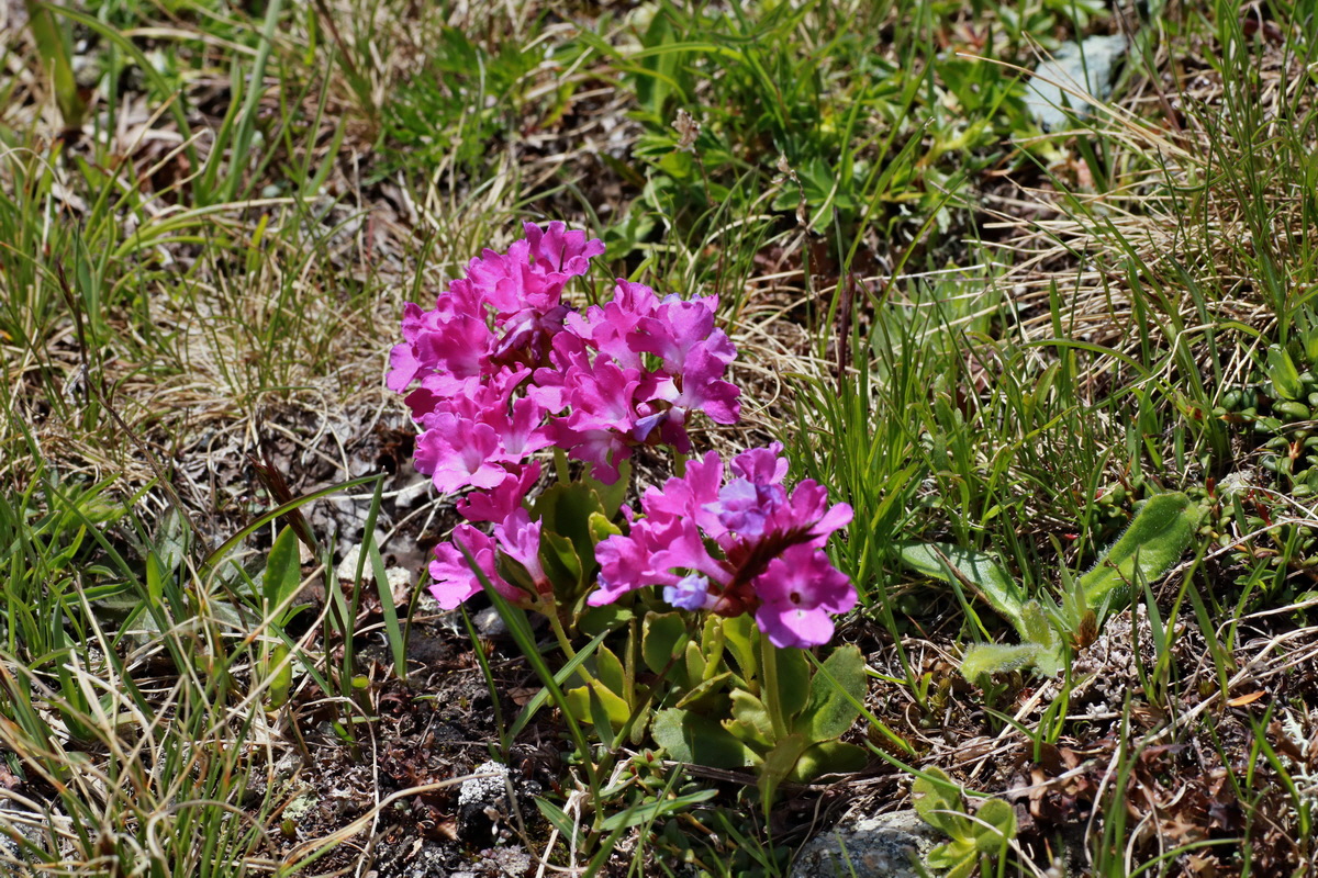 2015_06_22_005698p_Bildgr��e �ndern