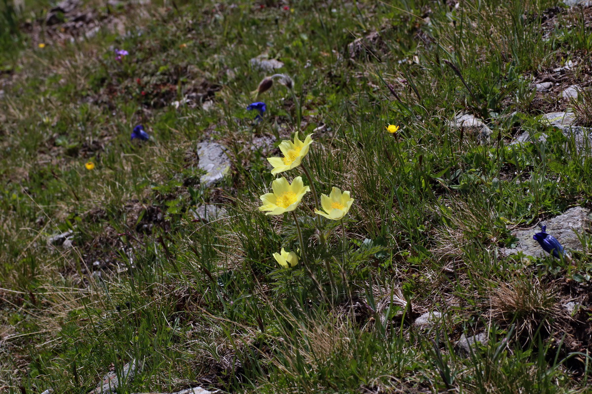 2015_06_22_005701p_Bildgr��e �ndern