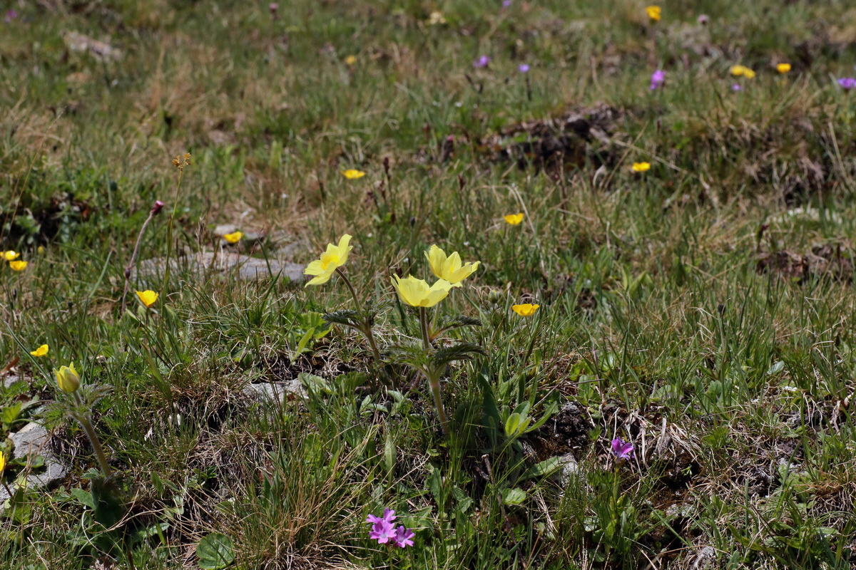 2015_06_22_005703p_Bildgr��e �ndern