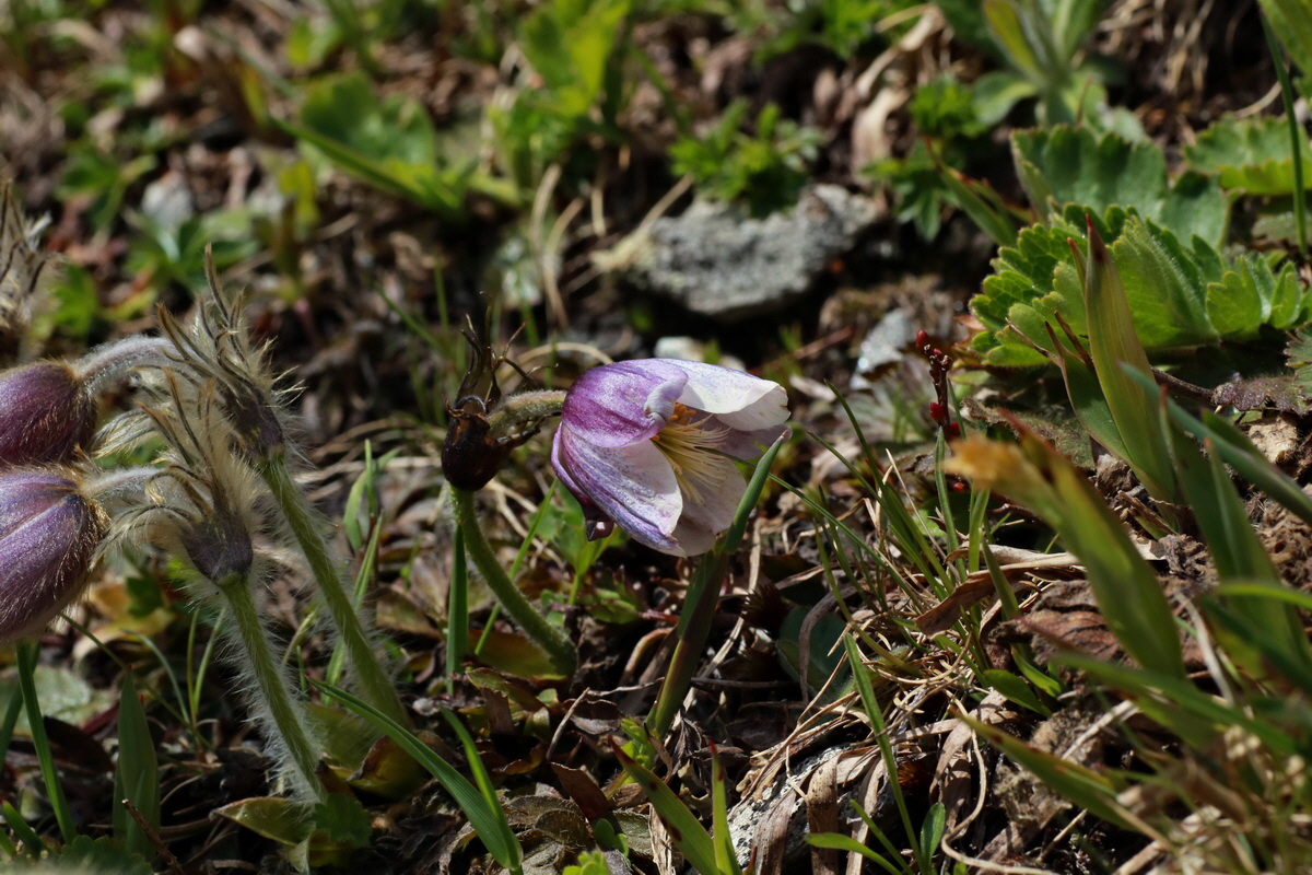 2015_06_22_005706p_Bildgr��e �ndern