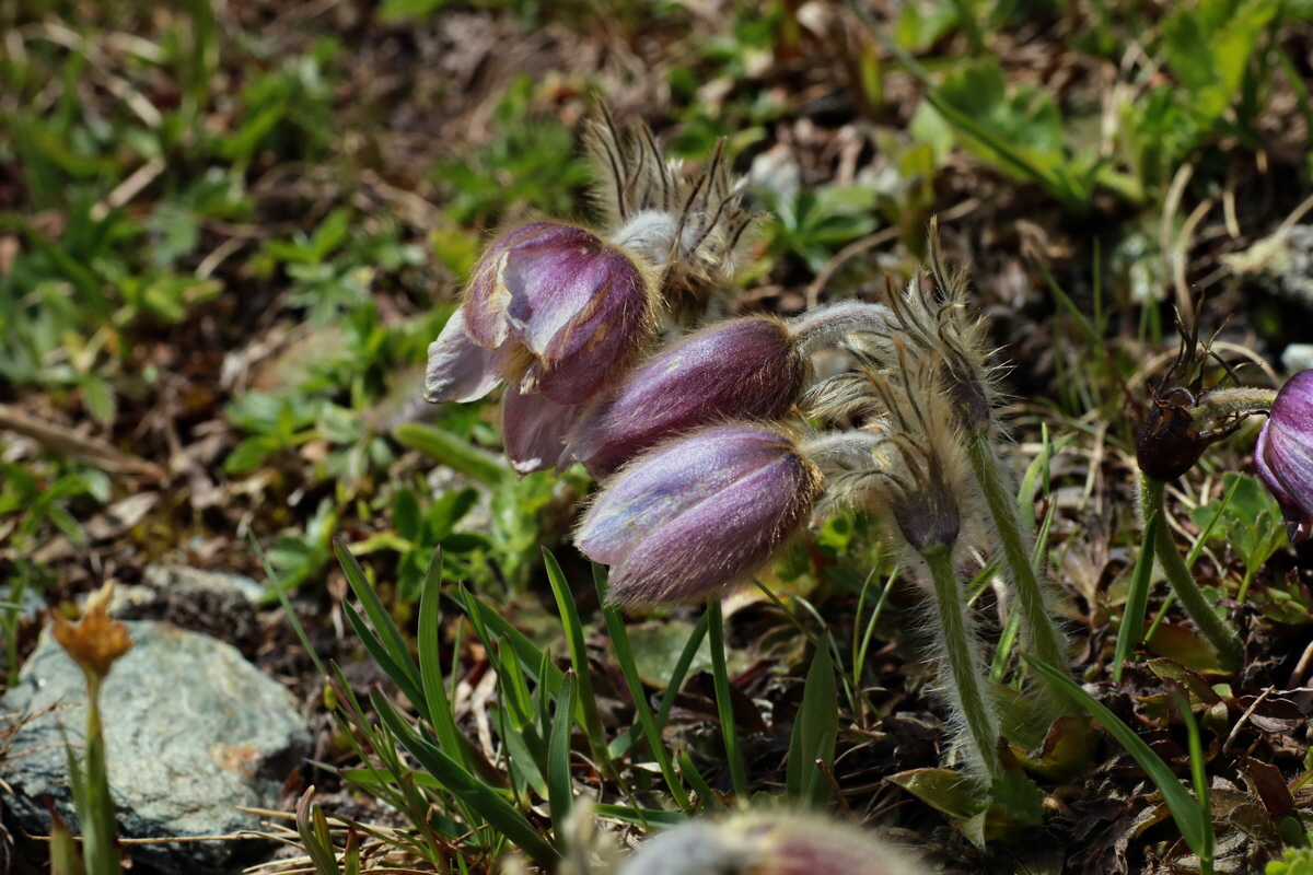 2015_06_22_005708p_Bildgr��e �ndern