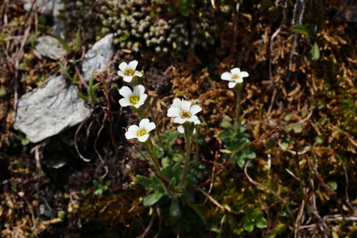 2015_06_22_005718p_Bildgr��e �ndern