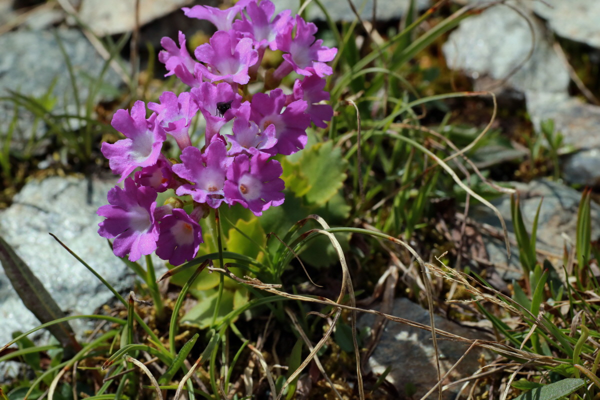 2015_06_22_005721p_Bildgr��e �ndern