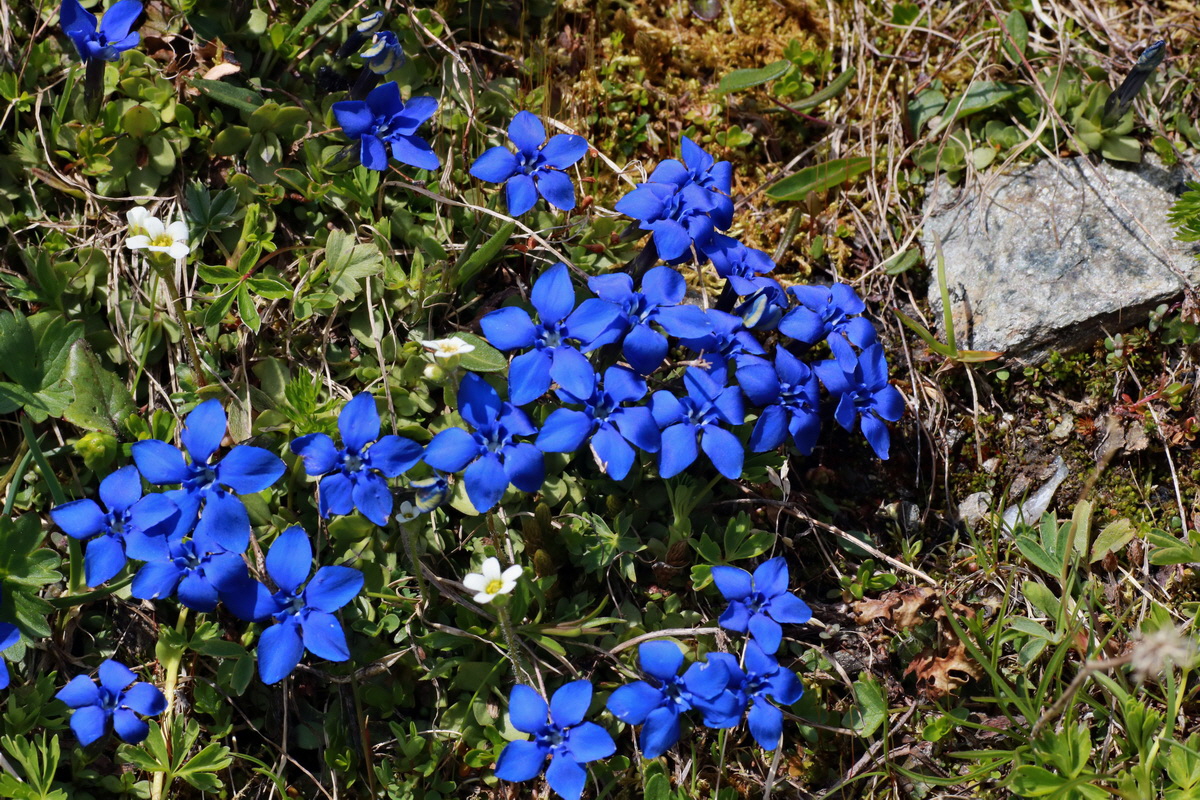 2015_06_22_005724p_Bildgr��e �ndern