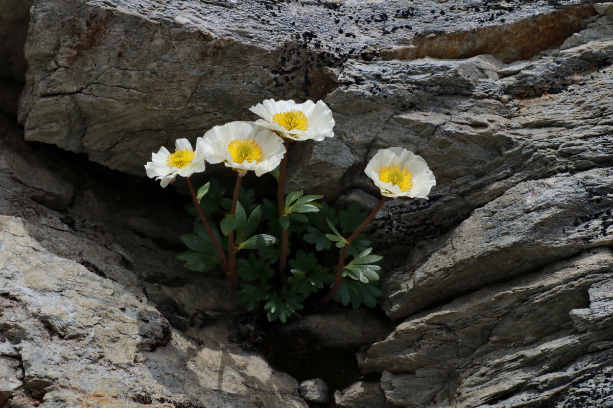 2015_06_22_005728p_Bildgr��e �ndern