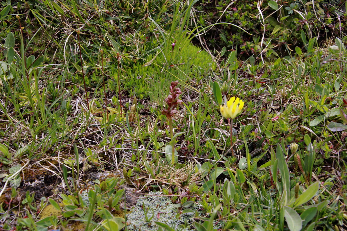 2015_06_22_005762p_Bildgr��e �ndern