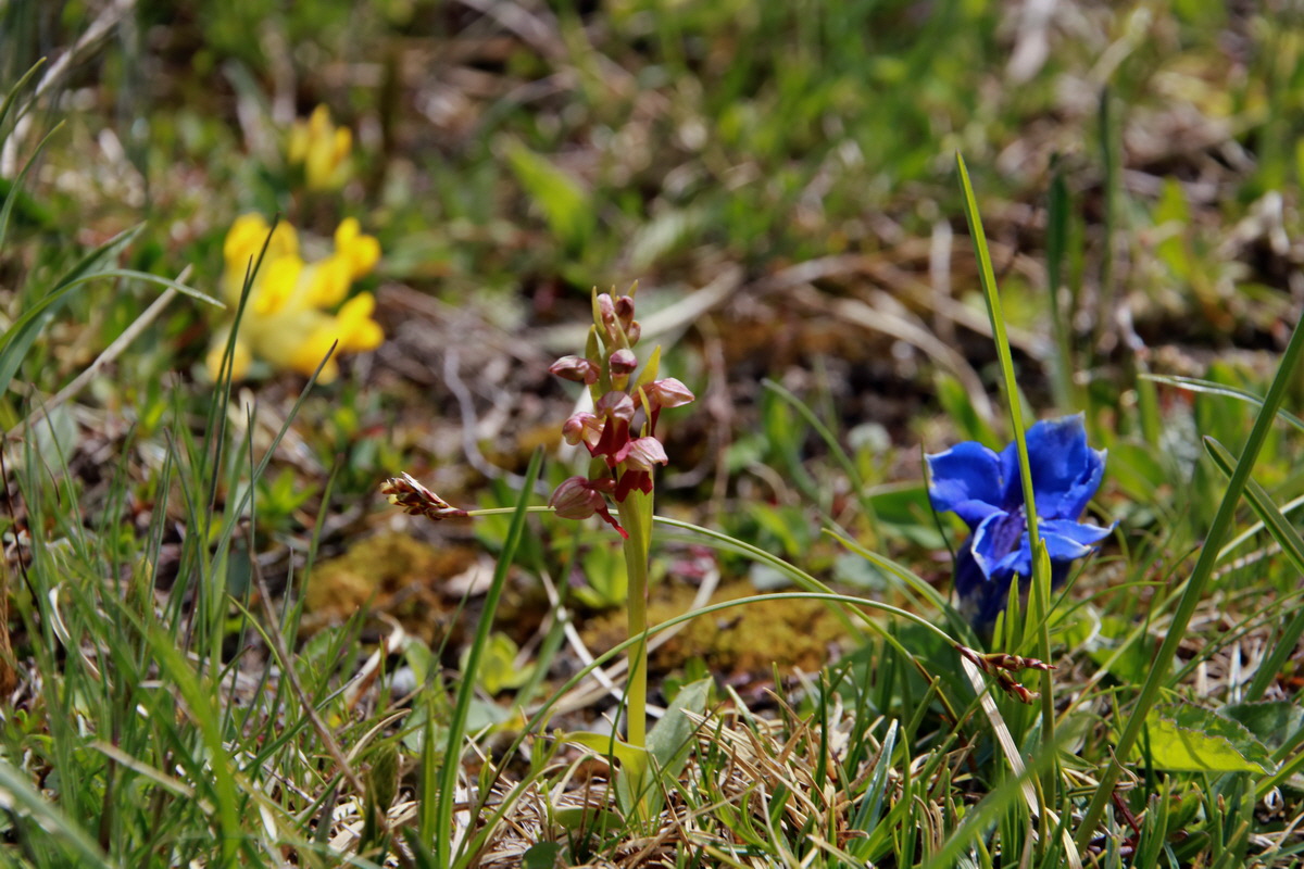 2015_06_22_005764p_Bildgr��e �ndern