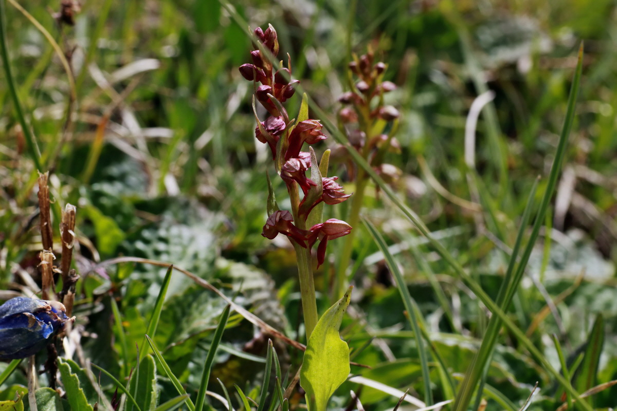 2015_06_22_005767p_Bildgr��e �ndern